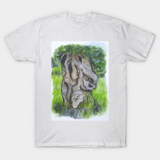 Wisdom Olive Tree T-Shirt